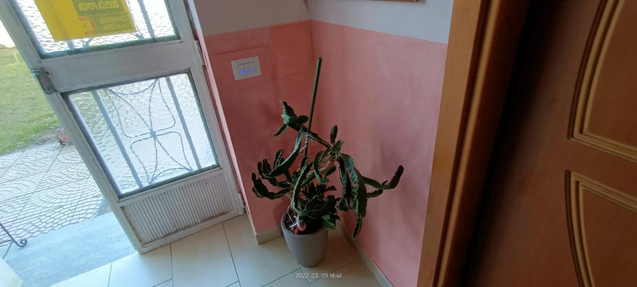 La Magnolia B&B Gassino Torinese Kültér fotó
