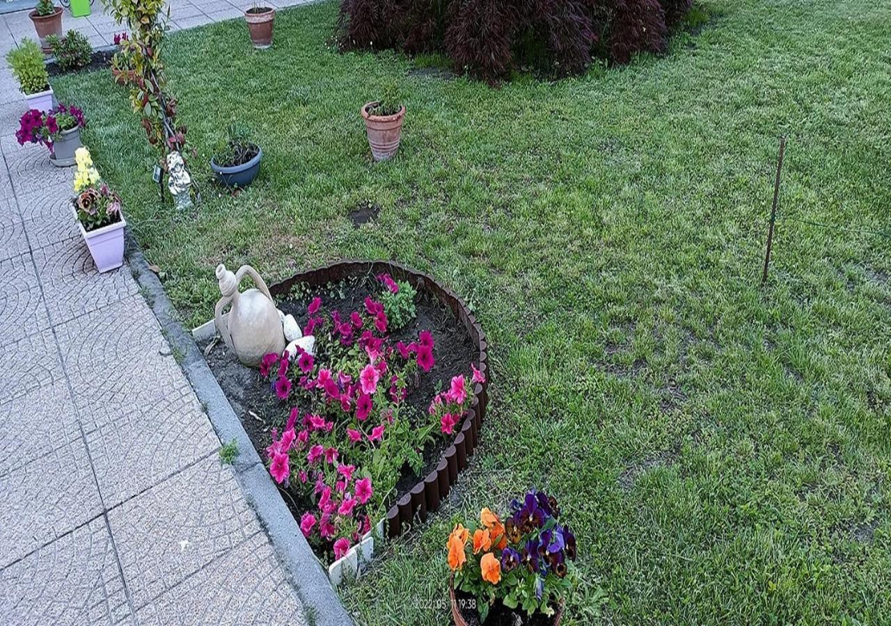 La Magnolia B&B Gassino Torinese Kültér fotó