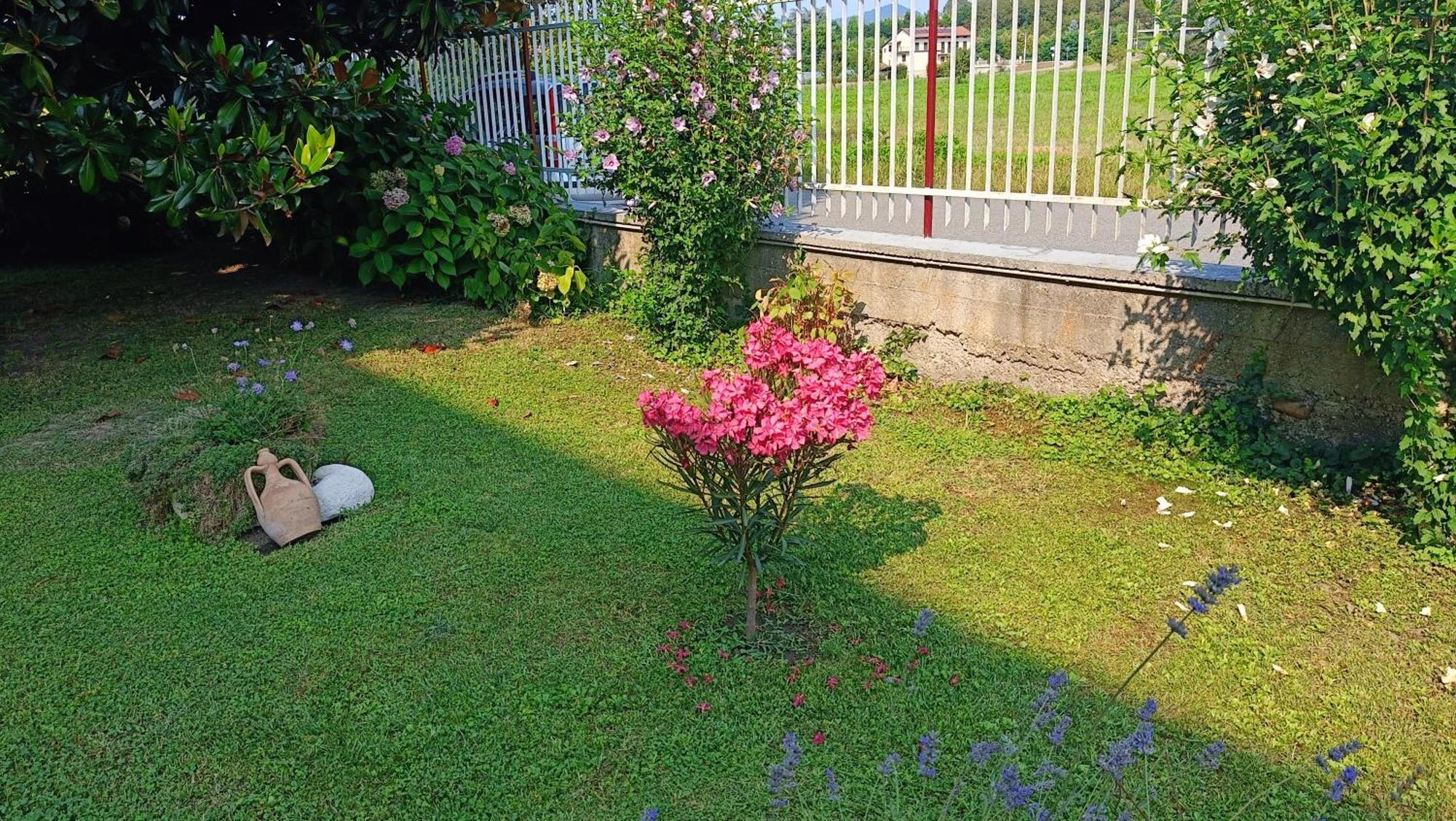 La Magnolia B&B Gassino Torinese Kültér fotó